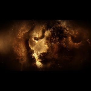 Meet your Posher, Marcus